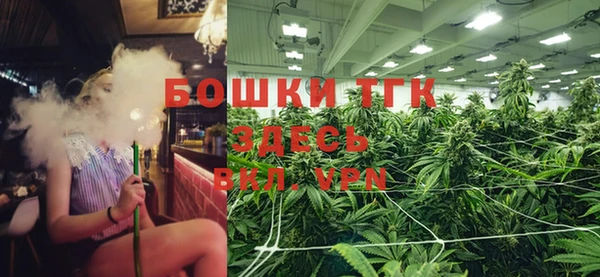 меф Арсеньев