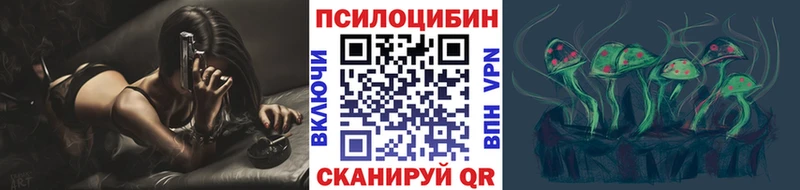 Псилоцибиновые грибы Cubensis Купить закладки Ступино